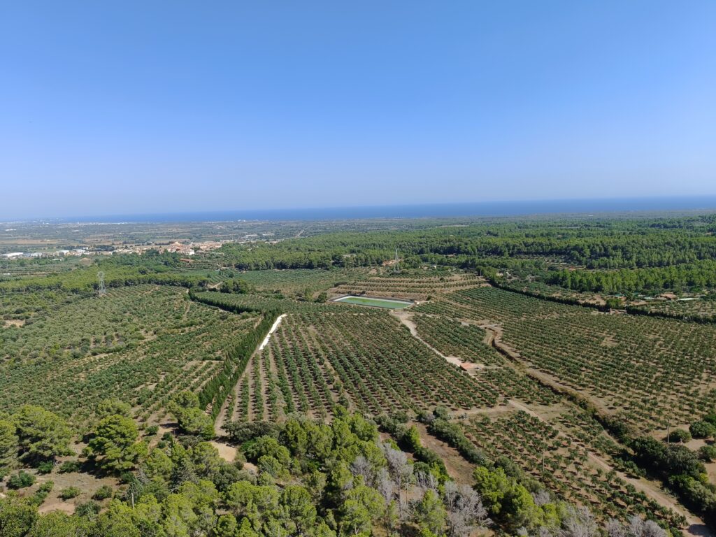 Camp de Tarragona: tornant als orígens d’Antoni Gaudí